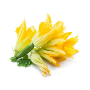 FLOR DE CARBASSO - Unitat